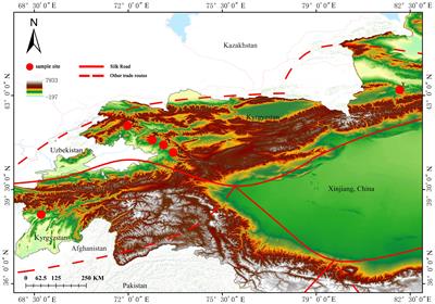 Historical spread routes of wild walnuts in Central Asia shaped by man-made and nature